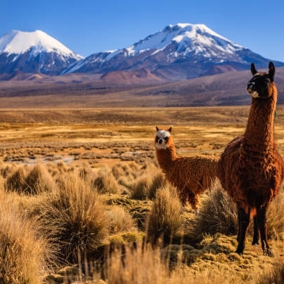 Soltur Viagens e Turismo