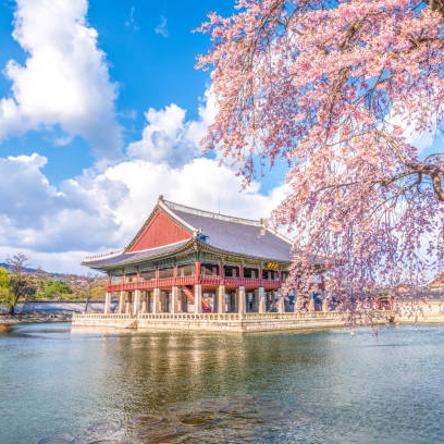 Soltur Viagens e Turismo